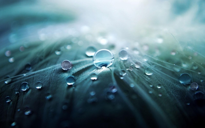 nature, outdoors, color Image, soft focus, rain, blade of grass, dews, plant part, backgrounds, blue, selective focus, green Color, transparent, pattern