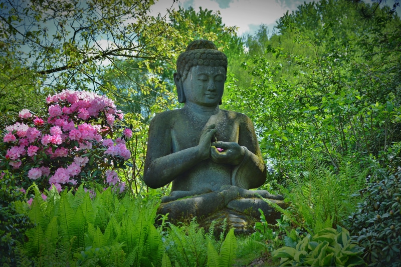representation, art and craft, flower, sculpture, 5K, near, day, gautama, spirituality, flowering, asia, plant, budda, stone figure, nature, human representation