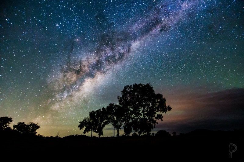 tree, Night Sky, brisbane, night  sky, constellation, night, starry night, Wonders, silhouette, photography, of the Night, 6d, milky Way, science, nature
