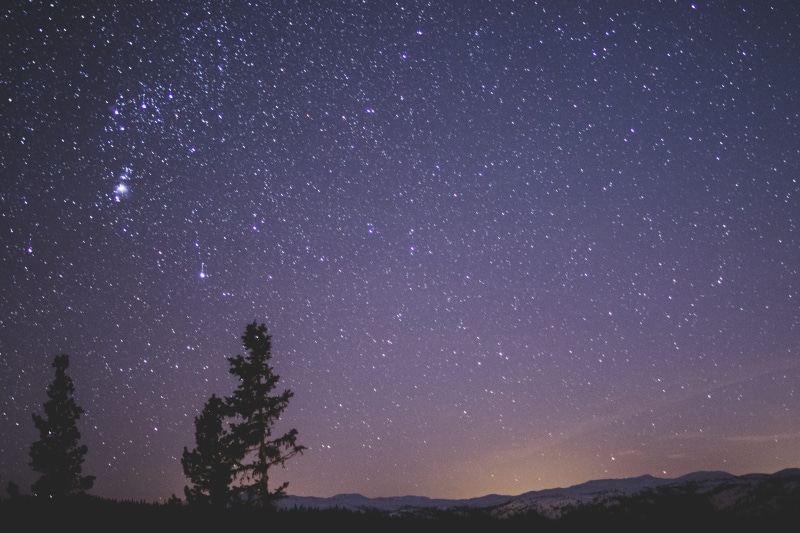 silhouette, milky way, galaxy, starry, sky, star - space, no people, scenic, idyllic, landscape, star field, night photography, night, trees, stars, infinity