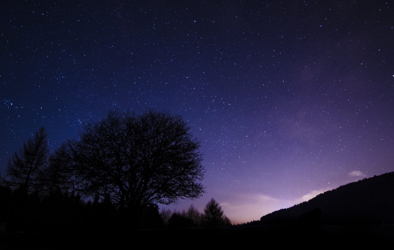 scenics - nature, star Field, trees, night, space, plant, sky, nature, tree, moon, astronomy, slope, milky Way, beauty in nature, tranquility