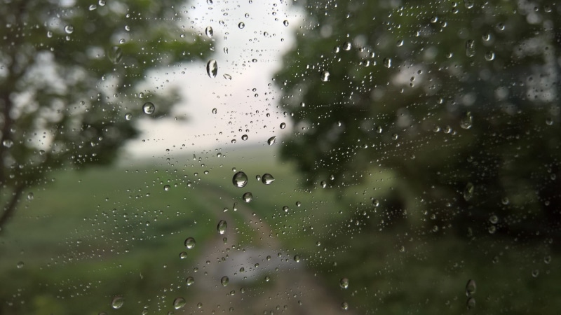 window, autumn, drops, rain, rain drops, 4K, nature