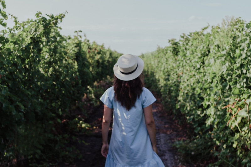 exploring, looking away, day, leafed, female, short, walking, person, daytime, three quarter length, explore, plants, caucasian, dress, forest, sleeved