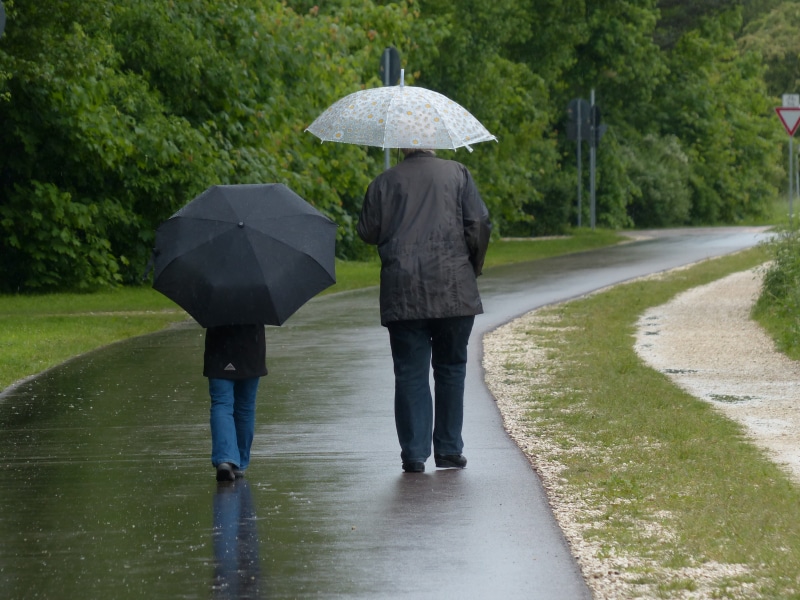 rear view, 4K, two, nature, run, couple - relationship, go, women, holding, adult, wet, positive emotion, security, horrible, day, child, rain, person