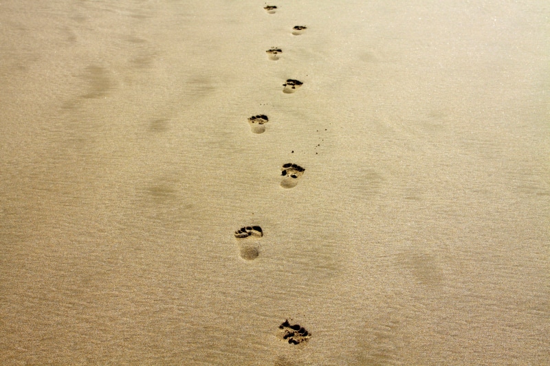 foot, contemplation, tranquil, beach sand, print, travel, nature background, sand, background pattern, mental health, environment, lights background, full frame