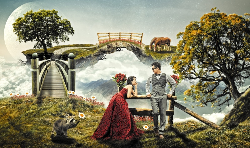 fairytale, fance, raccoon, flower, romantic, day, people, women, couple - relationship, island, tree, adult, Drawing, princess, woman, mountain, sweet