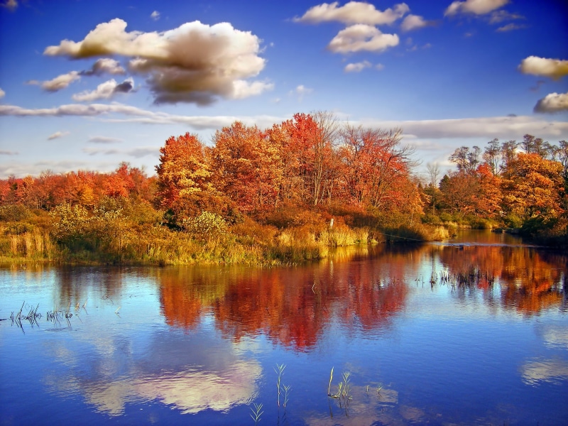 time, Monroe County, autumn, pond, cumulus, trees, outdoors, sky, Reflected, nature, yellow, body of water, scenics, leaf, leaves, landscape, reflection