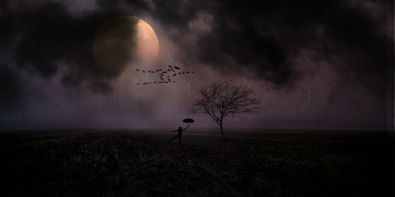 tree, moon, horror, shadow, rain, silhouette, moonlight, composing, landscape, person, woman, sky, forward, leafless, fairytale, romantic, beauty in nature