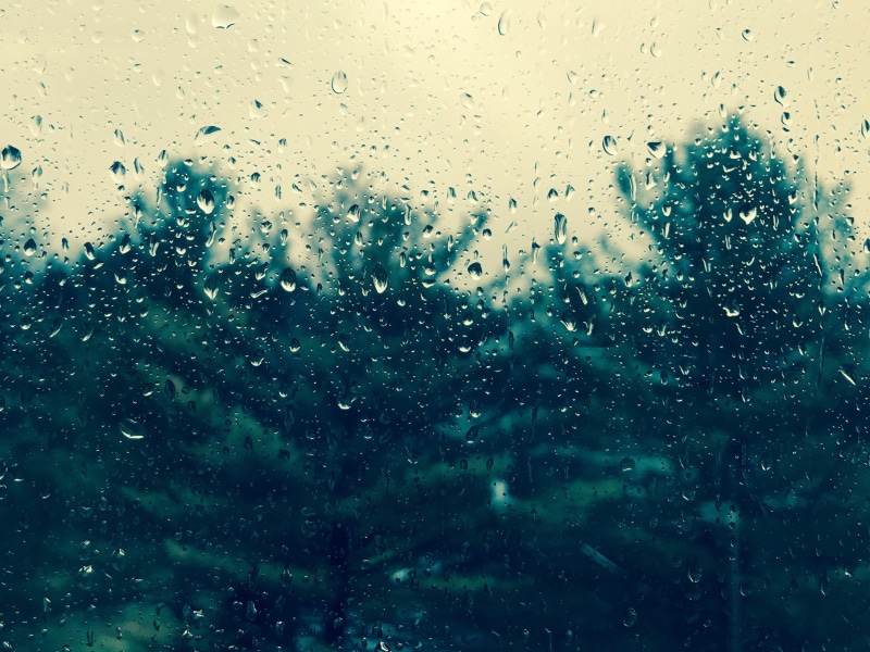 raindrop, abstract, water, 2K, glass, Drops, rain, weather, window, panel, backgrounds, glass - Material, drop, nature, trees, glass panel, wet