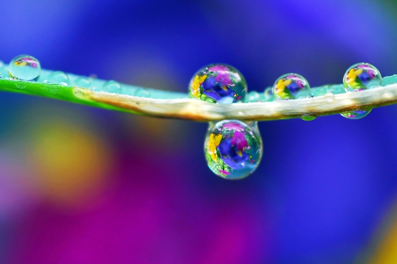 macro, water, macro photography, green Color, backgrounds, close-up, photography, droplets, splash, liquid, water droplets, drops, garden, bubble, abstract