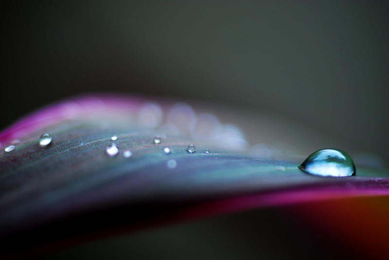 backgrounds, closeup, green Color, bubble, APPS, DCR, 8D, drop, f1, Today, freshness, water, liquid, close-up, drop of water, wet, macro, Nature, Nikon D60