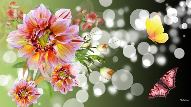 1080P, element, flora, colorful, decoration, design, bouquet, flower, butterfly, season, branch, bright, holiday, april, love, bloom, egg, pattern