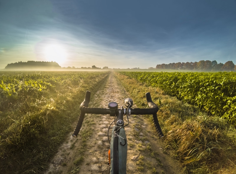 plant, dirty road, sky, lens flare, farm, overijse, tranquil scene, nature, tranquility, rural scene, no people, belgique, land, sun, outdoors, bike, bright
