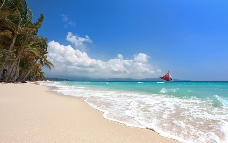 nautical vessel, trees, turquoise colored, sea, coconut, sand, outdoors, landscape, sailboats, beauty in nature, palm trees, nature, tranquil scene, holiday