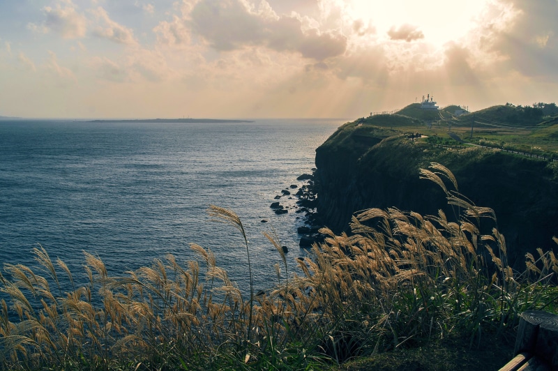 beach, nature, horizon, rock - object, korea, tranquil scene, tranquility, no people, outdoors, island, reed, sea, 4K, cloud - sky, rock, water, beauty in nature