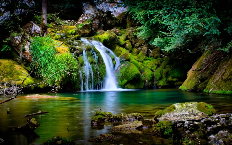 France, Waterfall, Forest, Vector, Waterfalls, 4K