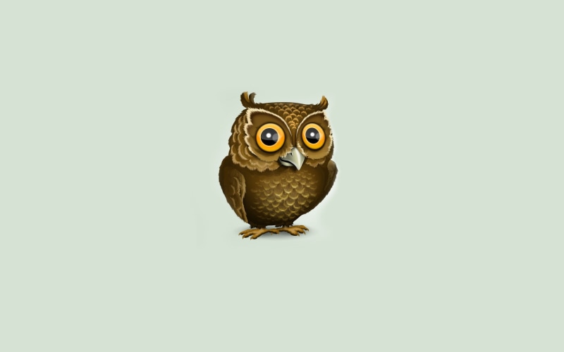 minimalism, owl, full length, animal themes, colored background, close-up, vertebrate, animals, indoors, animal wildlife, animals in the wild, simple background