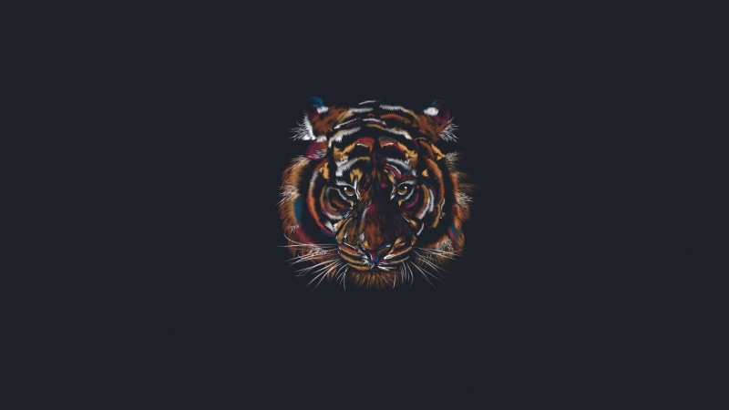 Animal, Artistic, Minimalist, Tiger, 1080P