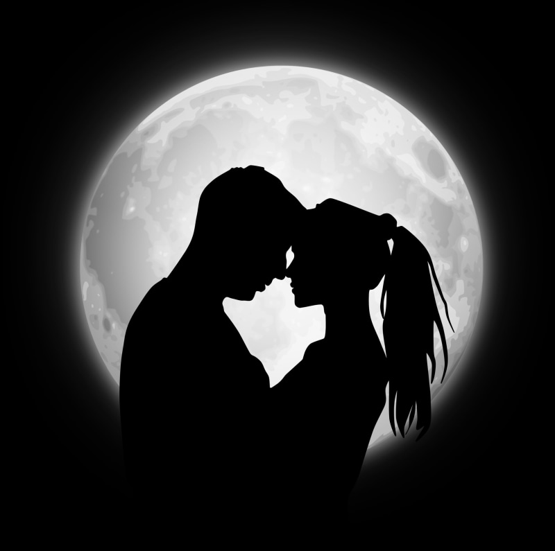 back Lit, happiness, couple, women, love, beautiful, men, romance, heterosexual couple, sky, face to face, care, moon, black Color, woman, positive emotion