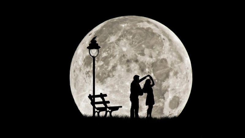 planetary moon, full moon, vector, astronomy, family, dark, women, togetherness, shape, standing, men, man, nature, adult, lifestyles, circle, outdoors
