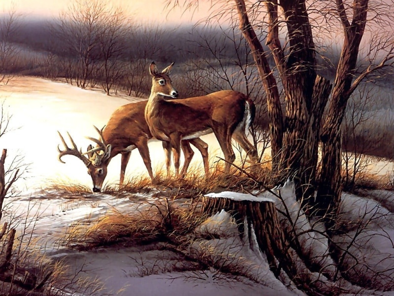 480P, animal family, animals in the wild, fawn, bare tree, field, no people, painting, Terry Redlin, animal themes, winter, land, nature, vertebrate, animal wildlife