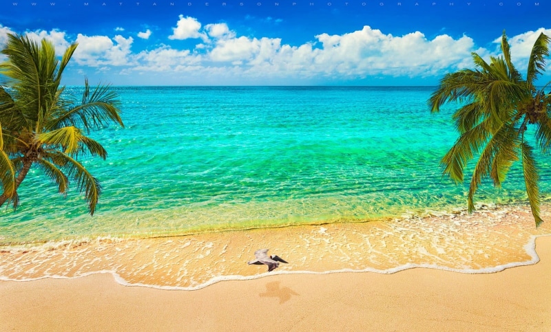 sand, ocean, palm tree, clouds, cloud - sky, tranquility, tropical, land, coconut palm tree, tropical climate, sky, Caribbean, horizon, nature, no people