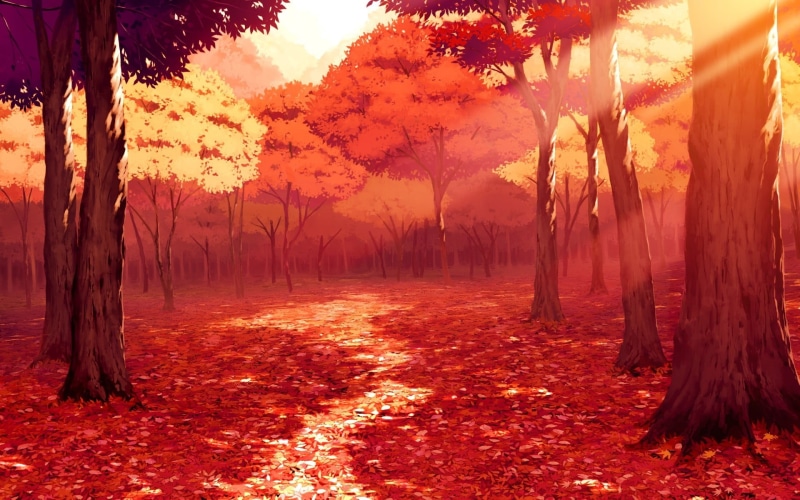 artwork, vibrant Color, day, non-Urban Scene, forest, tree, beauty In Nature, red, tree trunk, sunny, multi Colored, maple Tree, woodland, yellow, 1080P