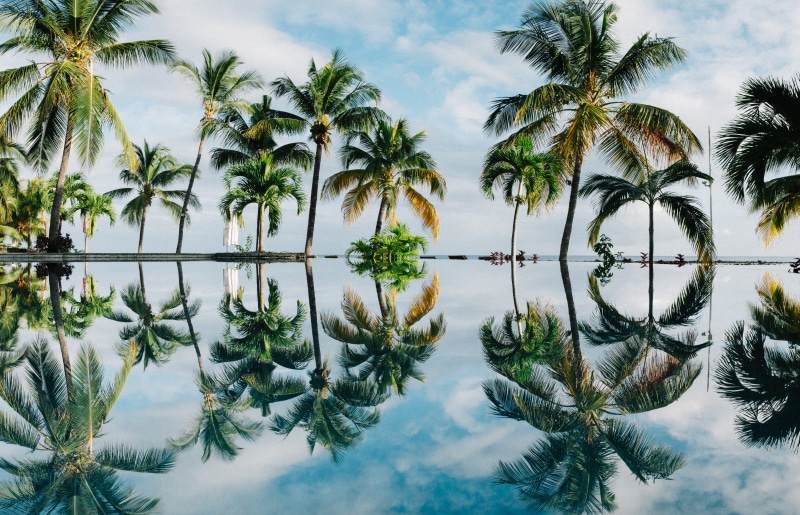 body, luxury, waterfront, near, coconut, reflection, sea, reflecting pool, outdoors, palm, plant, ocean, paradise, symmetry, cloud - sky, tranquility, nature