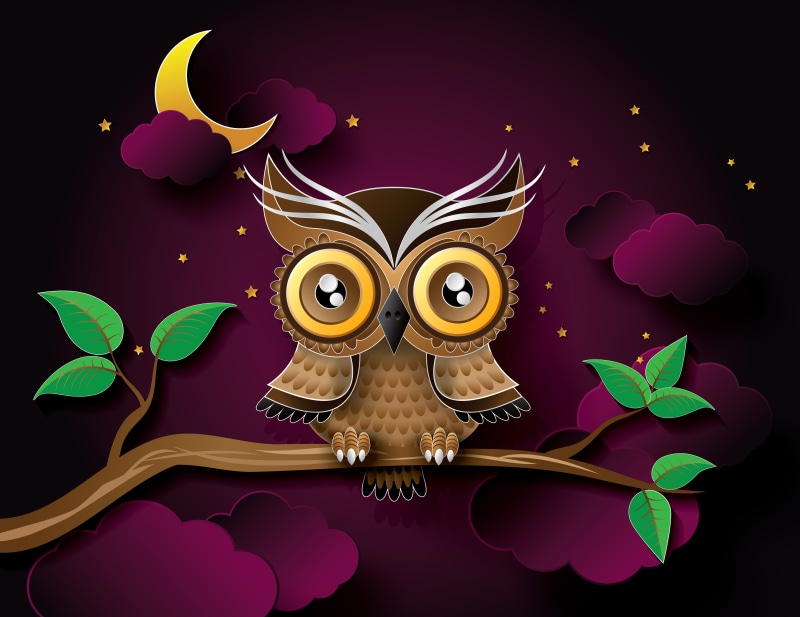 monster - Fictional Character, sky, backgrounds, bird, branch, alien, indoors, purple, dark, art, close-up, animal, leaf, no people, night, humor, forest