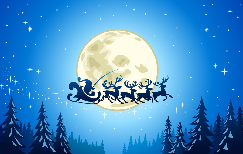 moon, transparent, new year, bubble, snowing, abstract, light - Natural Phenomenon, shiny, Reindeer, glass - material, close-up, animal, city, fullmoon Maple