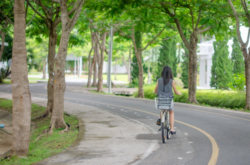 street, vector, scenic, metal, green, women, drive, land vehicle, grass, urban, background, full length, scenery, city, nobody, information, the way forward
