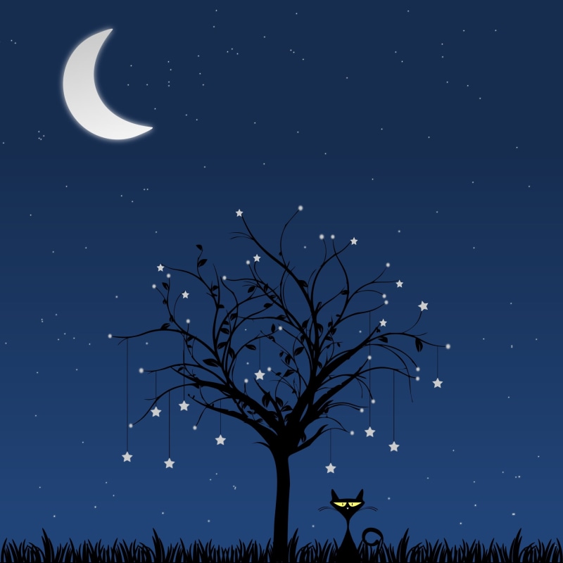 scenics - nature, silhouette, outdoors, moonlight, vector, design, season, 1080P, blue, leaf, moon, art, forest, beauty in nature, white, tree, space