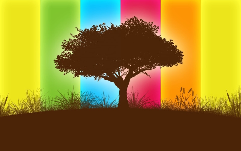 indoors, line, plant, leafed, vector, forest, digital composite, summer, orange color, outdoors, sunset, silhouette, branch, colorful, sky, stripes, window