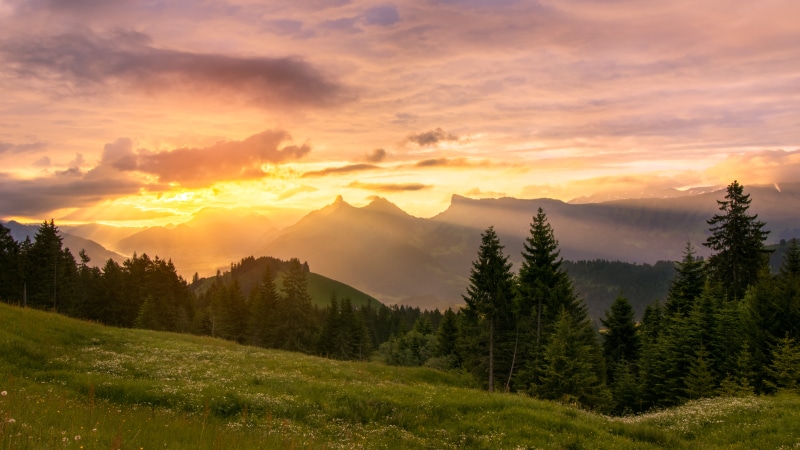 Gruyères, Fribourg, champs, summer, jaune, beauty In Nature, sky, printemps, cloud - Sky, morning, travel, sunrise - Dawn, montagnes, nature, bleu, light