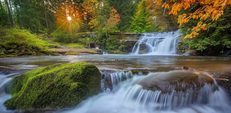 forest, stream - flowing water, nature, moss, long exposure, rock - object, landscape, water, falling water, blurred motion, plant, beauty in nature, rock