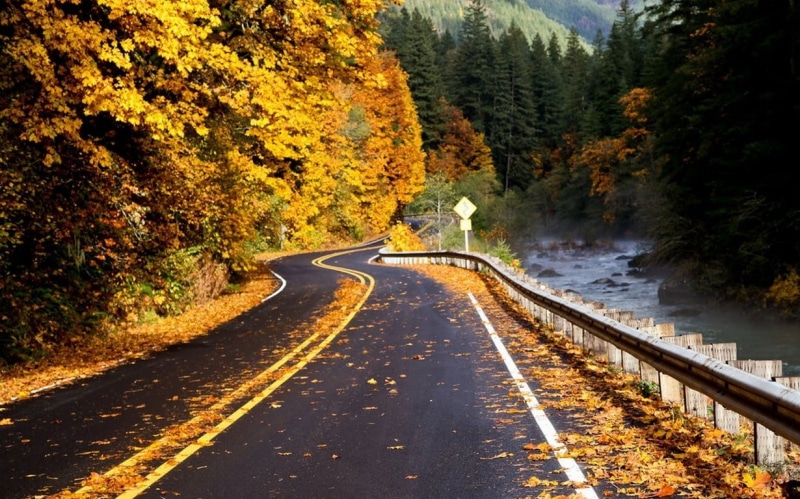 marking, fall, autumn, beauty in nature, mountains, nature, the way forward, outdoors, double yellow line, no people, yellow, road, river, foliage, tree