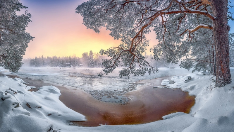 snow, trees, nature, 1080P, cold, winter, landscape