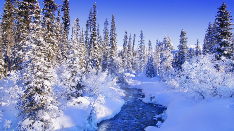 torrent, 1080P, landscapes, forest, winter, snow, hd, Trees, art, nature