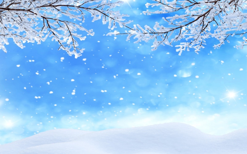 2K, snowflakes, forest, snow, trees, snows, winter, withered