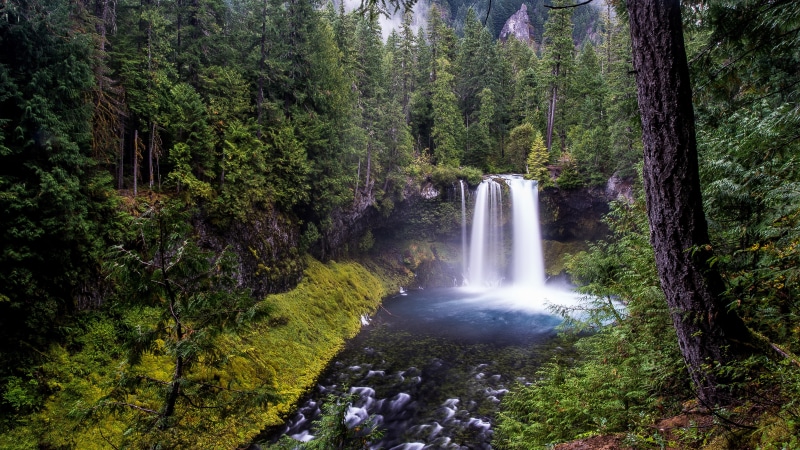 nature, scenics - nature, flowing, land, non-urban scene, beauty in nature, woodland, tree, ultra hd  8k resolution 7680x4320 natures bounty, foliage, blurred motion