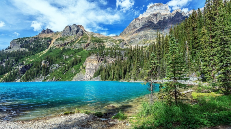 plant, formation, beauty in nature, tranquil scene, non-urban scene, rock - object, day, nature, blue mountain lake ultra hd  8k resolution 7680x4320 download