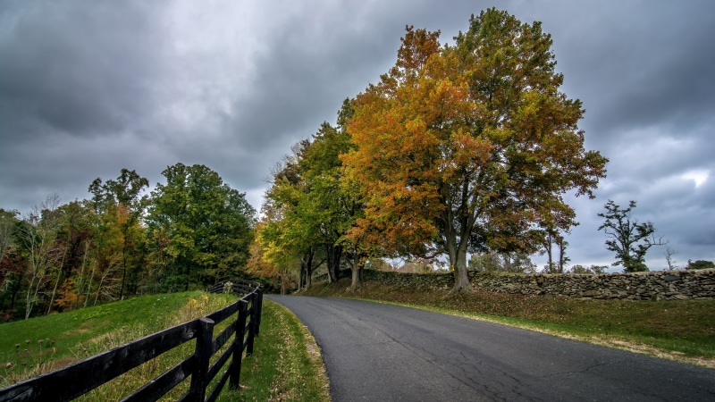 autumn, environment, diminishing perspective, landscape, growth, nature, road, beauty in nature, tranquil scene, direction, outdoors, the way forward, green color