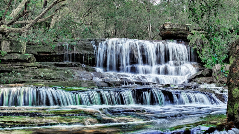 forest, 8K, ultra hd  8k 7680x4320 nature waterfall, tree, environment, beauty in nature, power in nature, nature, scenics - nature, non-urban scene, rock