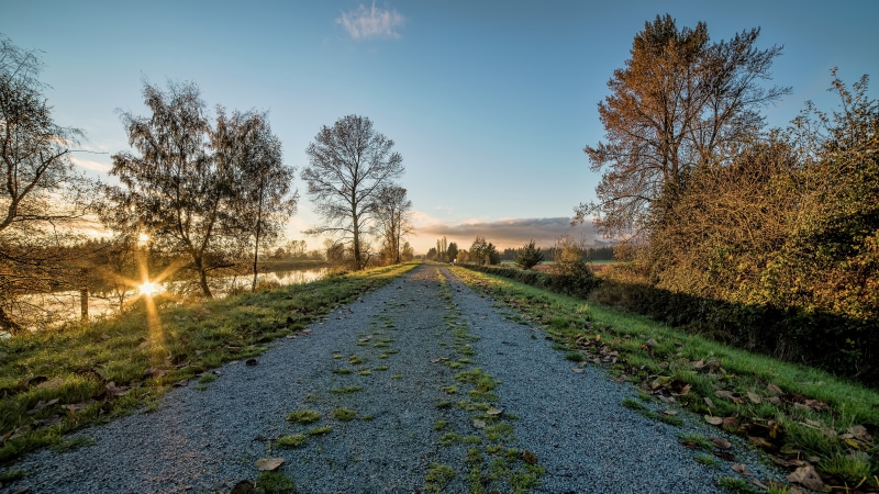 the way forward, transportation, autumn, sky, tranquil scene, growth, ultra hd car  8k 7680x4320, road, scenics - nature, sunlight, plant, tranquility