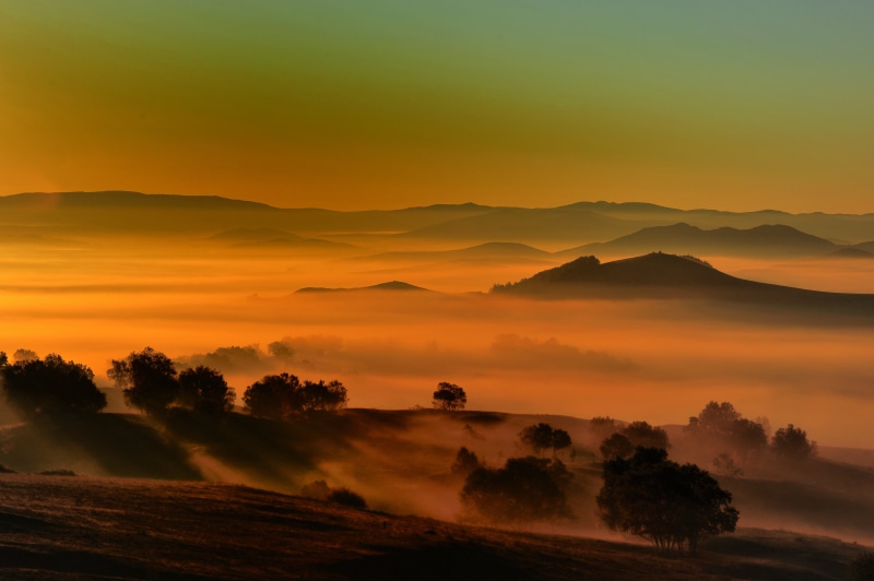 sunset, sun, hill, landscape, nature, dusk, tree, sunrise - Dawn, morning, beauty In Nature, trees, summer, scenics, rural Scene, dawn, mountain, sunlight