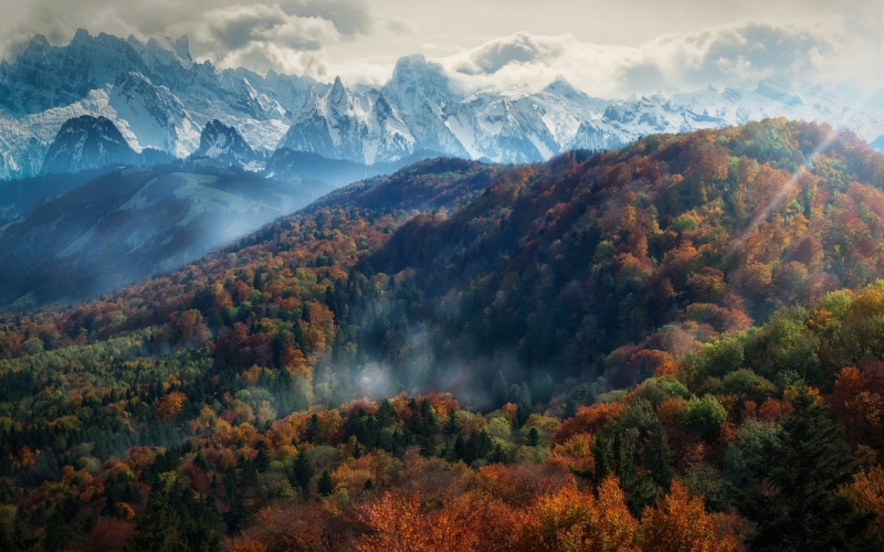 idyllic, rural Scene, no People, blue, sunlight, forest, fall, tranquility, day, sunset, valley, view, change, european Alps, tree, 1080P, growth, multi Colored