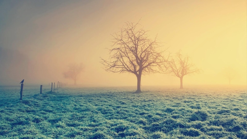 dawn, weather, field, scenics, light - Natural Phenomenon, land, season, winter, sun, 1080P, landscape, cold temperature, sunlight, day, morning, tranquil Scene
