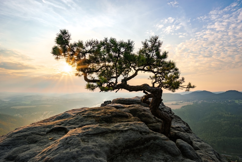 mountain, sky, im, Explore, on top, hiking, top, tree, nature, daytime, mountain Peak, outdoors, sunset, sunrise - Dawn, mountains, scenics, Sächsische Schweiz