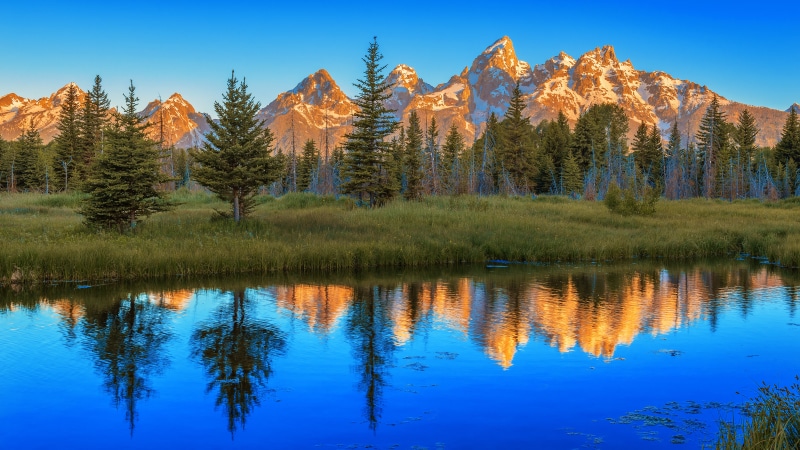 NP, Morning, tree, Wyoming, photo, outdoors, Water  World, Exploring, scenics, blue, lon, Explore, beauty In Nature, Nature, forest, U.S. National Park Service
