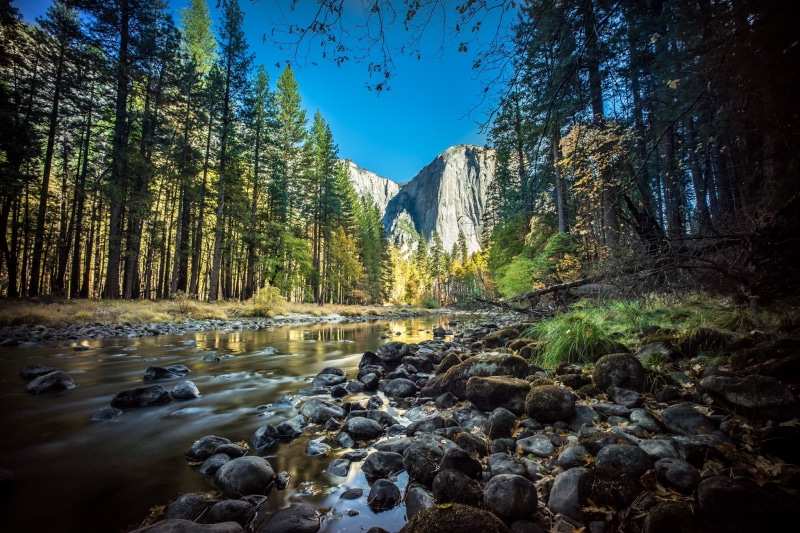 capitan, rock - Object, national  nature  park, summer, yosemite, beauty In Nature, mountain, sony a7, forest, 1080P, stream, el, photo, United States